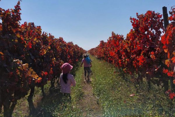 la_siembra_0004_WhatsApp Image 2022-07-22 at 11.08.36 AM (3)